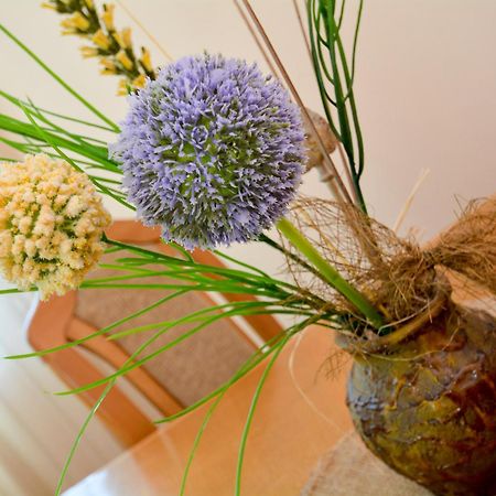 Apartments Jovanovic コトル 部屋 写真